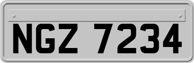NGZ7234