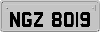 NGZ8019