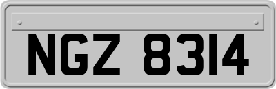 NGZ8314
