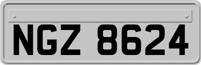 NGZ8624