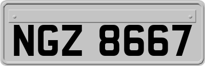 NGZ8667