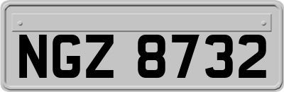 NGZ8732