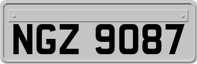 NGZ9087