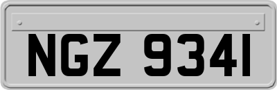NGZ9341