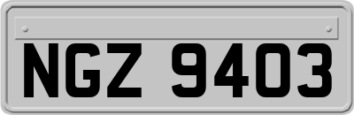NGZ9403