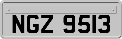 NGZ9513