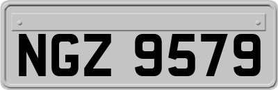 NGZ9579