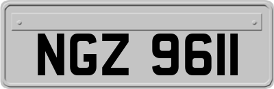 NGZ9611