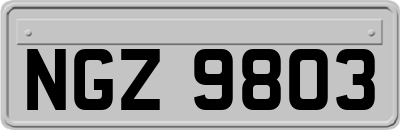 NGZ9803