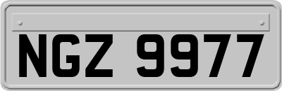 NGZ9977