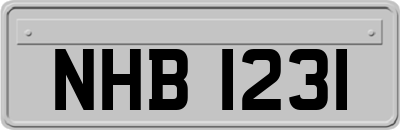 NHB1231