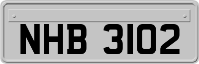 NHB3102