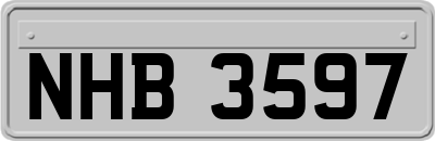 NHB3597