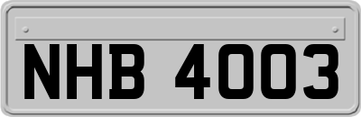 NHB4003
