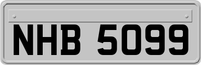 NHB5099