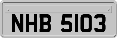 NHB5103