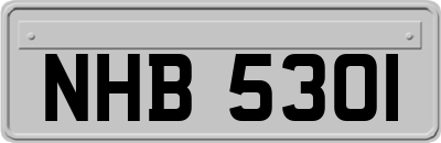 NHB5301