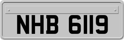 NHB6119