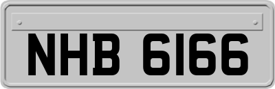 NHB6166
