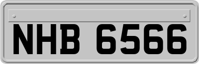NHB6566