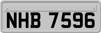 NHB7596