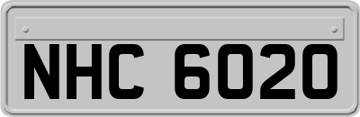 NHC6020