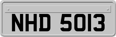 NHD5013