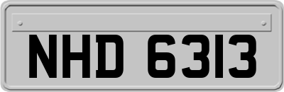 NHD6313
