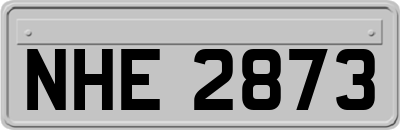 NHE2873
