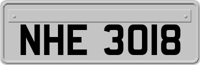 NHE3018