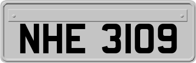 NHE3109