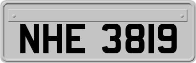 NHE3819