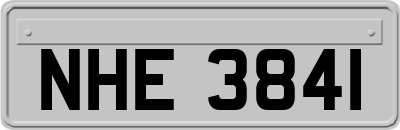 NHE3841