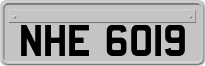 NHE6019