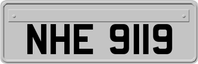 NHE9119