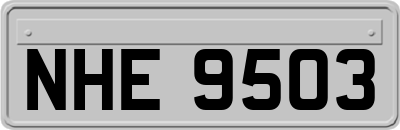 NHE9503
