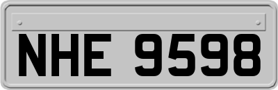 NHE9598