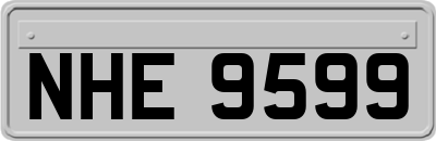 NHE9599