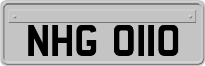NHG0110
