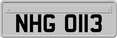 NHG0113