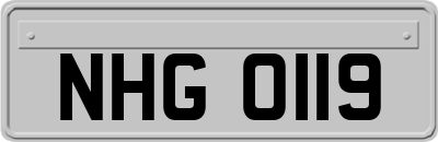NHG0119