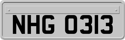 NHG0313