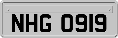 NHG0919