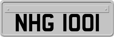 NHG1001