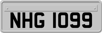 NHG1099