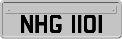 NHG1101