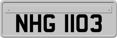 NHG1103