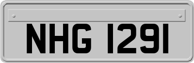 NHG1291