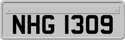 NHG1309
