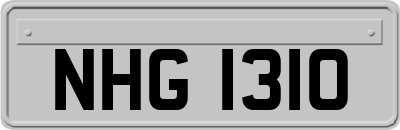 NHG1310